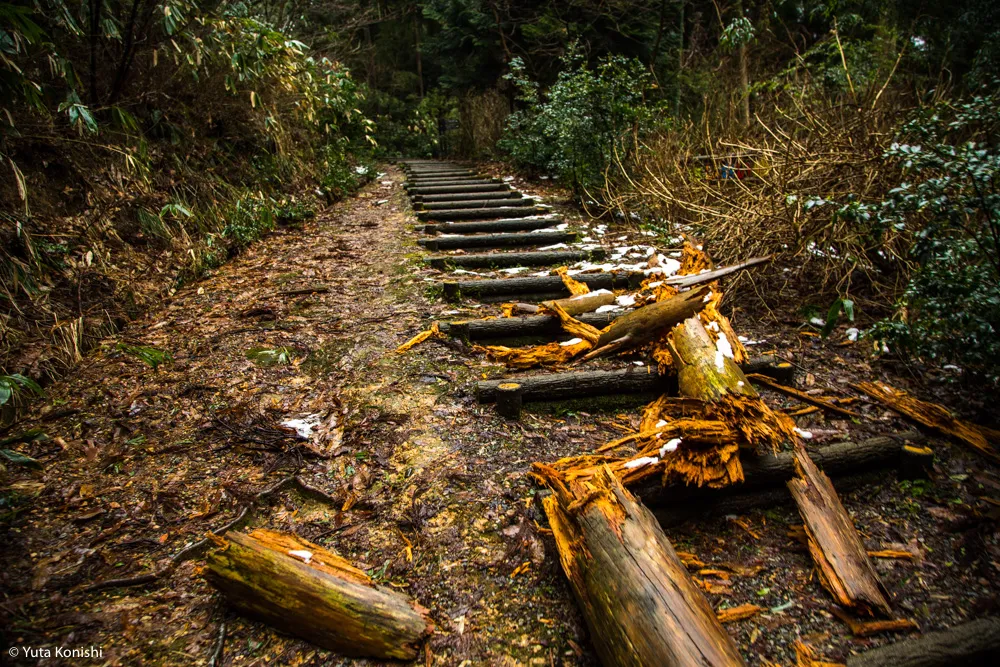 石川県の有名B級珍スポット特集！巨大観音に大仏そしてモーゼの墓が！そこには深い思いがあるから面白いのだ。