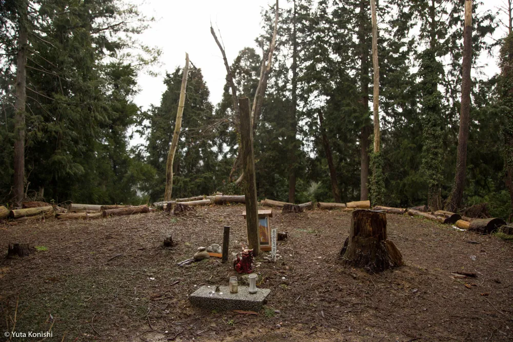 石川県の有名B級珍スポット特集！巨大観音に大仏そしてモーゼの墓が！そこには深い思いがあるから面白いのだ。