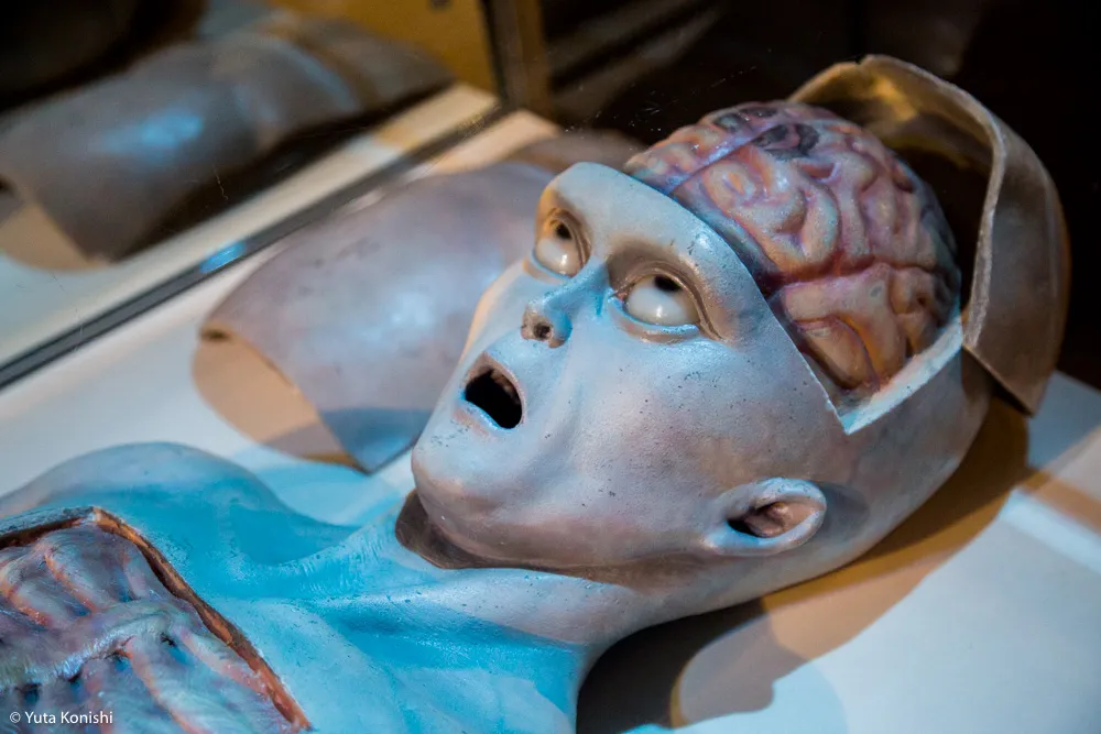 石川県の有名B級珍スポット特集！巨大観音に大仏そしてモーゼの墓が！そこには深い思いがあるから面白いのだ。