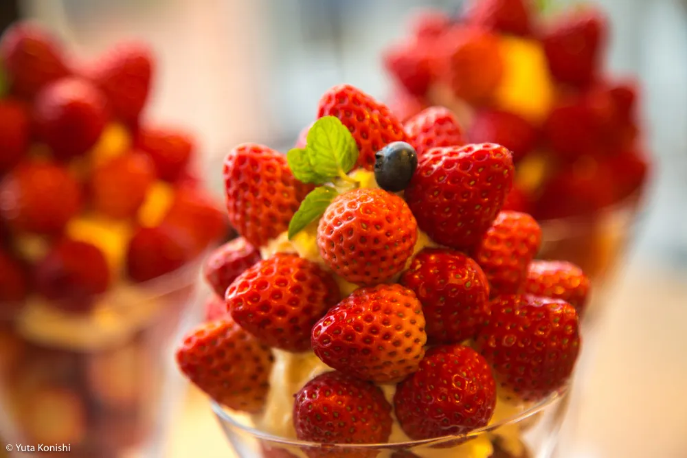 【熱狂】むらはたのいちごパフェ狂。金沢に来てこれ食べないって"まじで"正気なの？