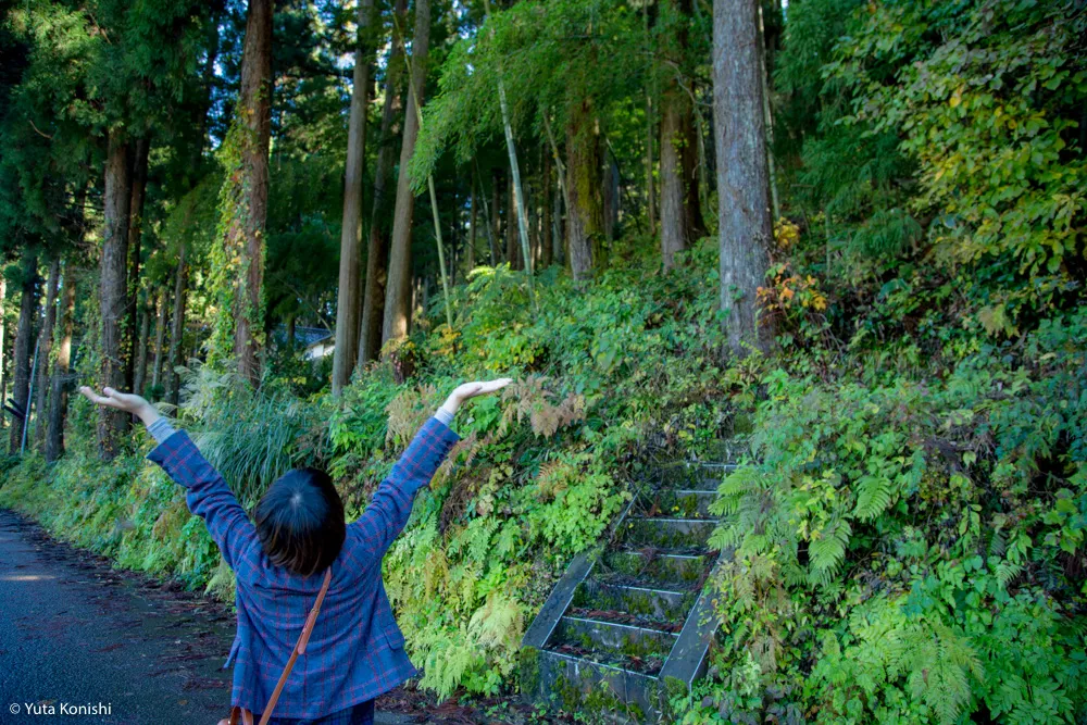 北陸の秋だ紅葉だ!どこ行く?ゆりりんと行く白山・白川郷へGo!金沢から日帰りで秋を満喫!!