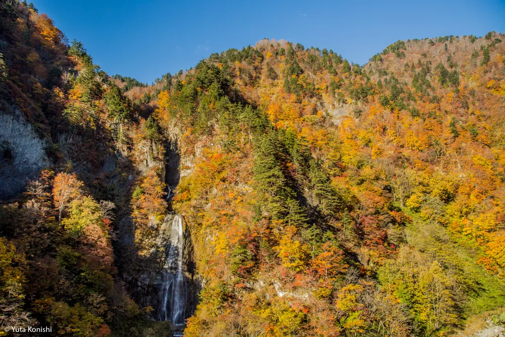 北陸の秋だ紅葉だ!どこ行く?ゆりりんと行く白山・白川郷へGo!金沢から日帰りで秋を満喫!!