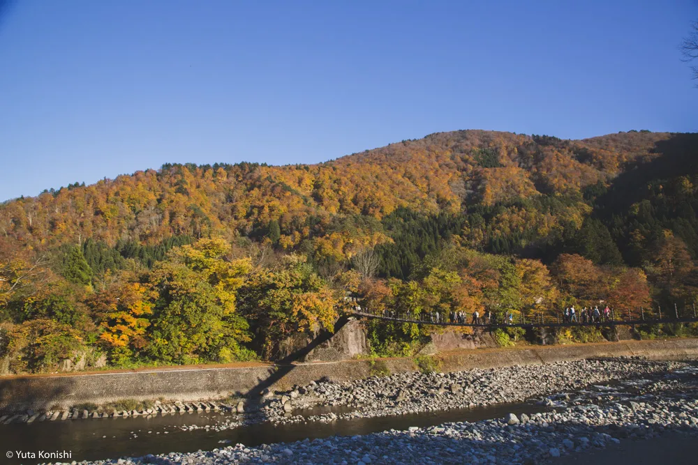 北陸の秋だ紅葉だ!どこ行く?ゆりりんと行く白山・白川郷へGo!金沢から日帰りで秋を満喫!!