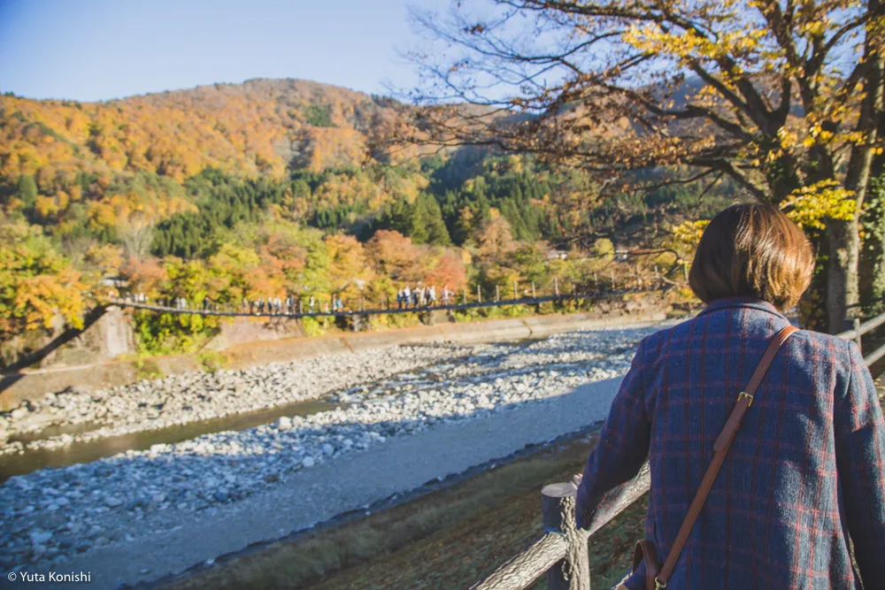 北陸の秋だ紅葉だ!どこ行く?ゆりりんと行く白山・白川郷へGo!金沢から日帰りで秋を満喫!!
