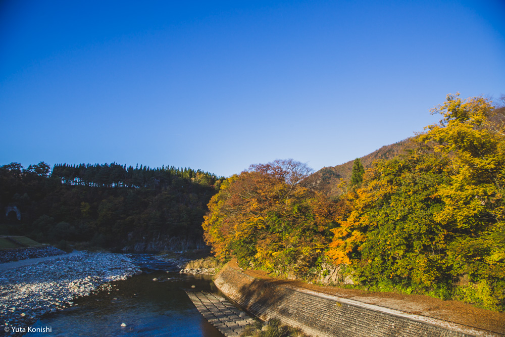 北陸の秋だ紅葉だ！どこ行く？ゆりりんと行く白山・白川郷へGo！金沢から日帰りで秋を満喫！！