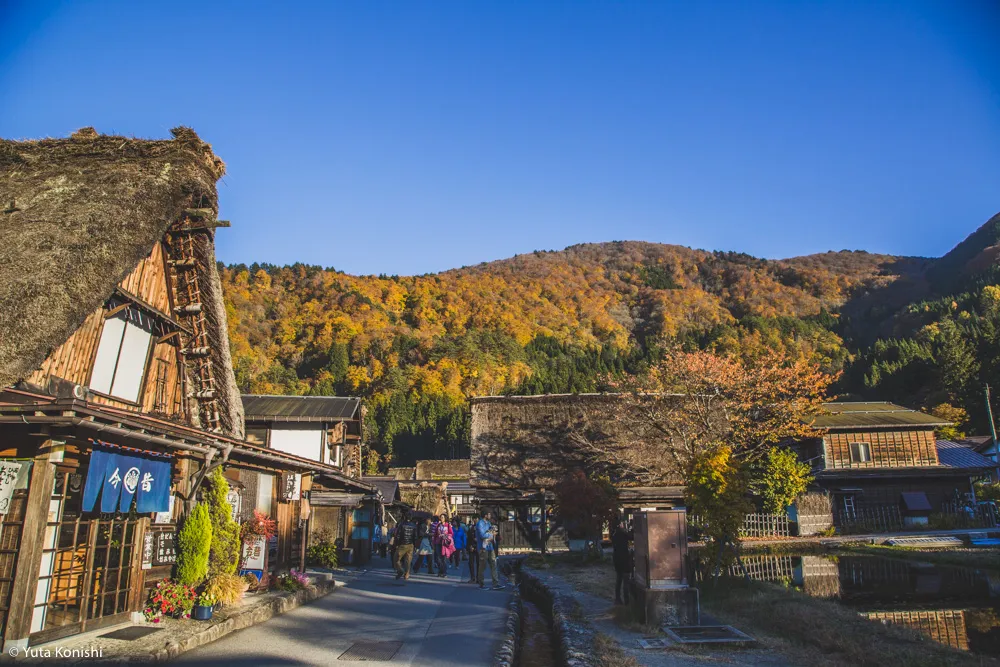 北陸の秋だ紅葉だ!どこ行く?ゆりりんと行く白山・白川郷へGo!金沢から日帰りで秋を満喫!!