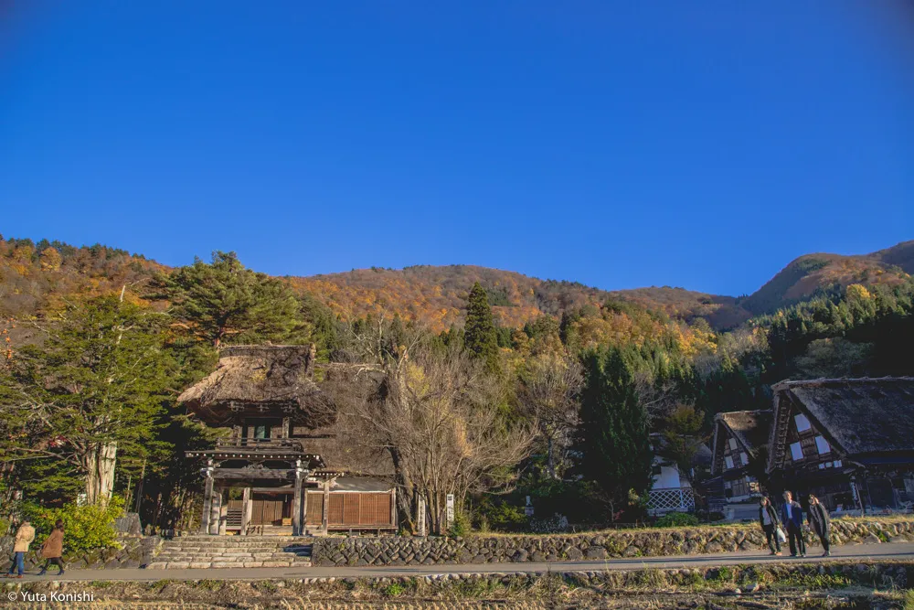 北陸の秋だ紅葉だ!どこ行く?ゆりりんと行く白山・白川郷へGo!金沢から日帰りで秋を満喫!!