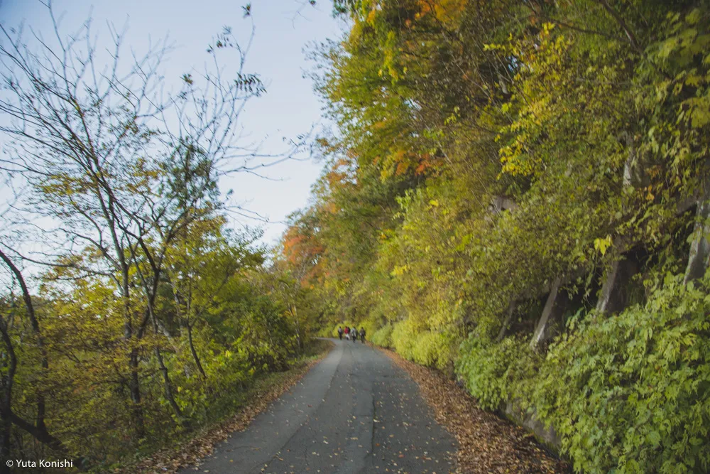 北陸の秋だ紅葉だ!どこ行く?ゆりりんと行く白山・白川郷へGo!金沢から日帰りで秋を満喫!!