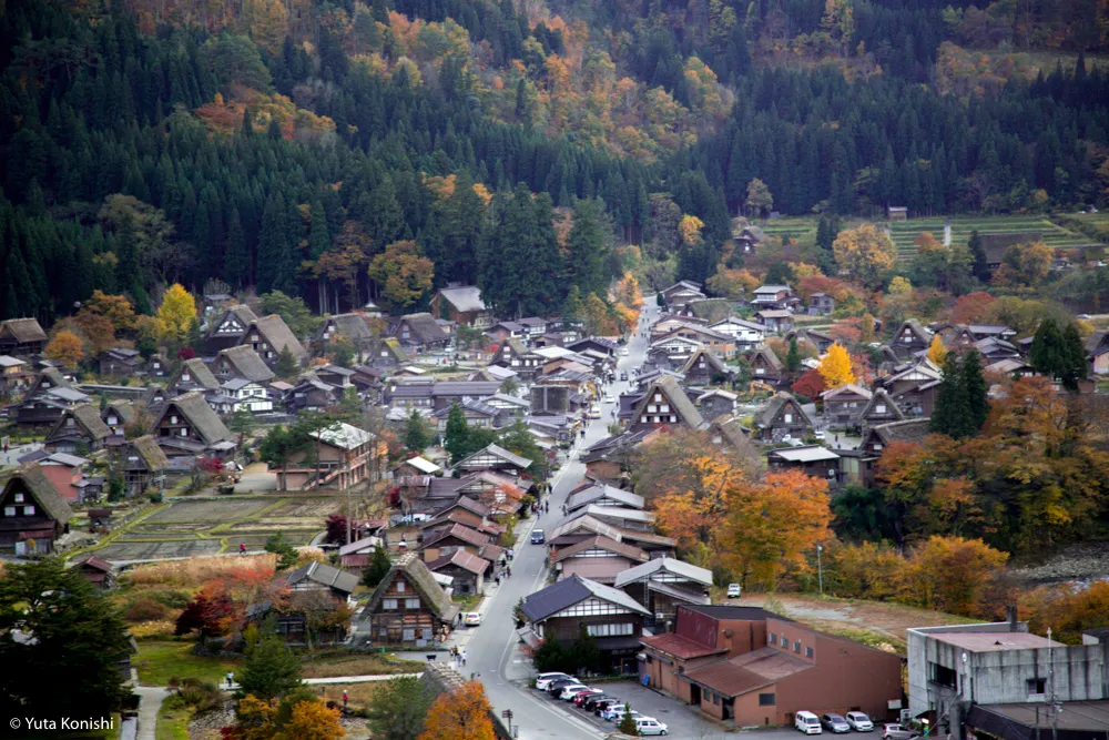 北陸の秋だ紅葉だ!どこ行く?ゆりりんと行く白山・白川郷へGo!金沢から日帰りで秋を満喫!!