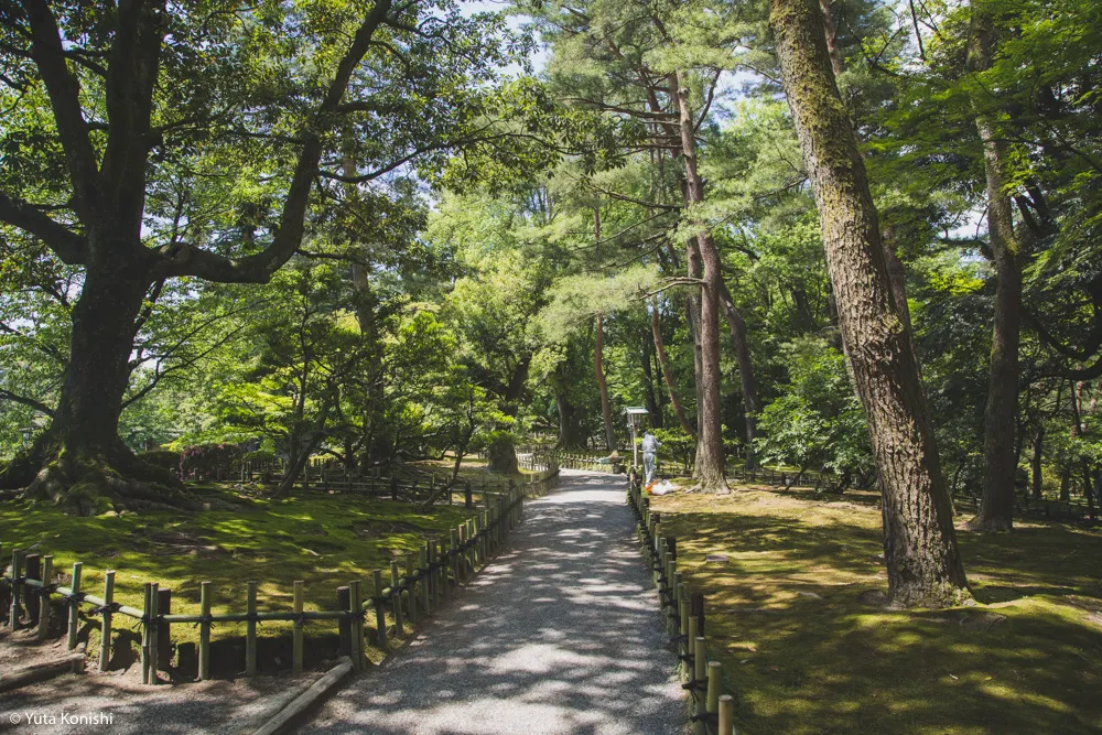 【保存版】兼六園マスターシリーズ 〜基礎講座編〜 あの兼六園の見方が変わる！どこよりもわかりやすい兼六園の説明に努めました！