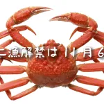11月6日のカニ漁解禁に備えて待ち構えている人のための記事を準備しました！マニアは夏からカニを食べるための努力を惜しんではいけない(プロは春から勝負)