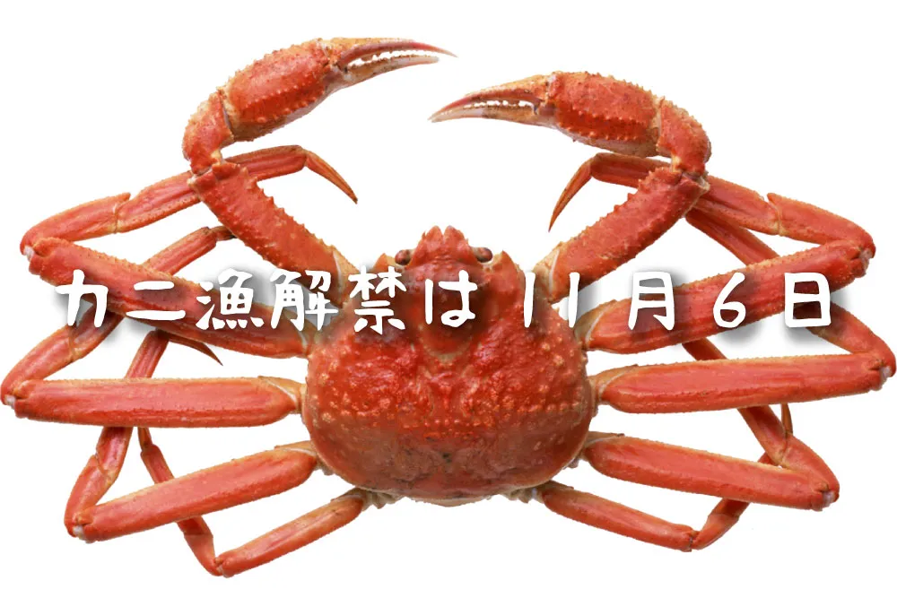 11月6日のカニ漁解禁に備えて待ち構えている人のための記事を準備しました!マニアは夏からカニを食べるための努力を惜しんではいけない(プロは春から勝負)