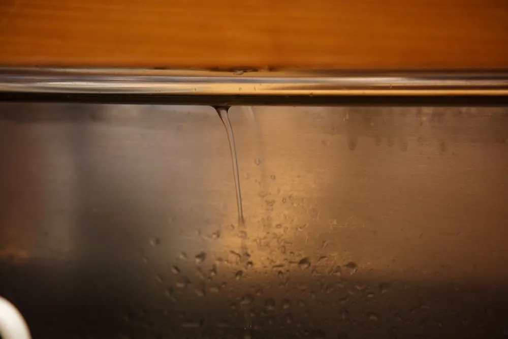 「松の」金沢で北陸新幹線を乗り継いで本気で来い！すしで感動感涙！北陸のすしをもっと知りたくなる店！