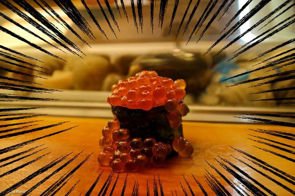 「松の」金沢で北陸新幹線を乗り継いで本気で来い！すしで感動感涙！北陸のすしをもっと知りたくなる店！